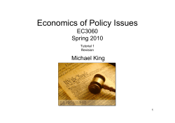 Economics of Policy Issues