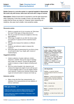 Did you know…? - The Yes Programme