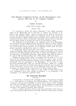 The Female Urogenital System of the lYIarsupialia with special