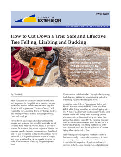 How to Cut Down a Tree: Safe and Effective Tree Felling, Limbing