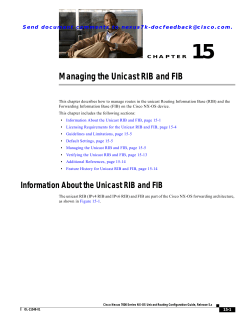 Managing the Unicast RIB and FIB