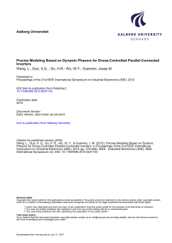 Precise Modeling Based on Dynamic Phasors for - VBN