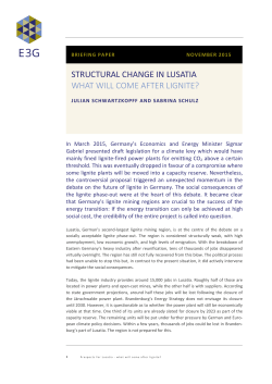 STRUCTURAL CHANGE IN LUSATIA WHAT WILL COME AFTER