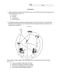 6.L.2 - ecosystems