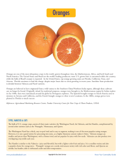 Oranges - Produce Blue Book