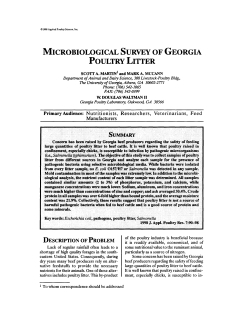 MICROBIOLOGICAL SURVEY OF GEORGIA POULTRY LITTER