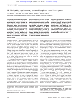 ALK1 signaling regulates early postnatal lymphatic vessel
