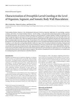 Characterization ofDrosophilaLarval Crawling at the Level of