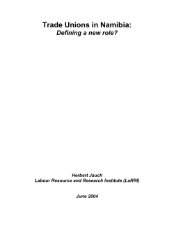 Trade-Unions-in-Namibia-2004