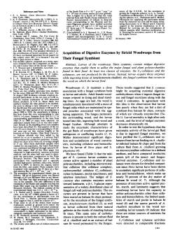 Acquisition of Digestive Enzymes by Siricid Woodwasps from