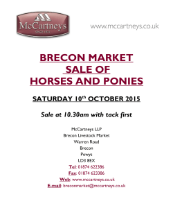BRECON MARKET SALE OF HORSES AND PONIES SATURDAY