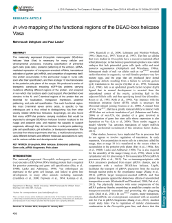 In vivo mapping of the functional regions of the