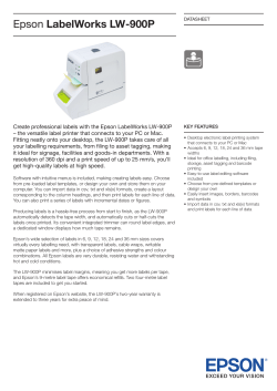 Epson LabelWorks LW-900P