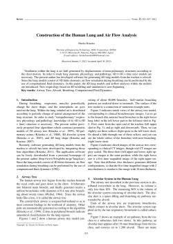 Construction of the Human Lung and Air Flow Analysis
