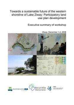 Executive workshop Summary