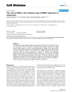 The role of CDK in the initiation step of DNA replication in eukaryotes