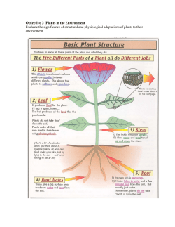Objective 3 Plants in the Environment
