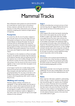 Mammal Tracks - Tasmania Parks and Wildlife Service