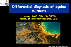 Murmur
