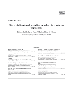 Complete Theme Section in pdf format