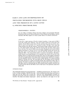 EARLY AND LATE INCORPORATION OF TRITIATED THYMIDINE