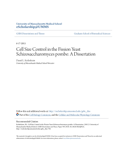 Cell Size Control in the Fission Yeast Schizosaccharomyces pombe