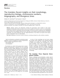 The Gnetales: Recent insights on their morphology, reproductive