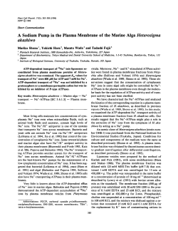 A Sodium Pump in the Plasma Membrane of the Marine Alga