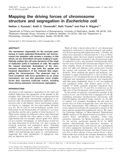 Mapping the driving forces of chromosome structure and
