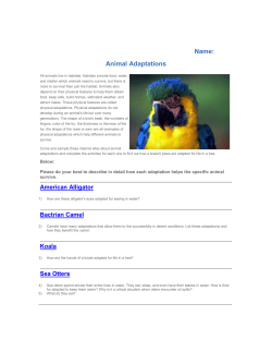 Animal Adaptations - Boone County Schools