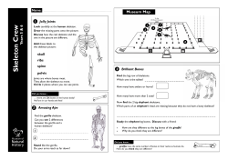 Skeleton Crew Trail