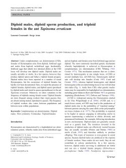 Diploid males, diploid sperm production, and triploid females in the