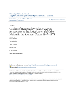 Catches of Humpback Whales, Megaptera novaeangliae, by the