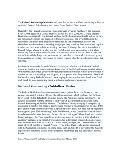 Federal Sentencing Guidelines Basics