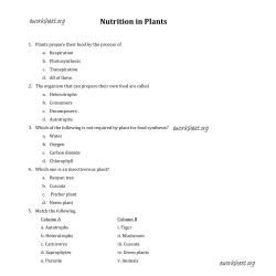 Nutrition in Plants