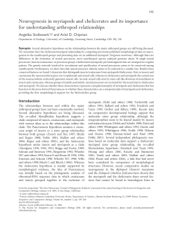 Neurogenesis in myriapods and chelicerates and