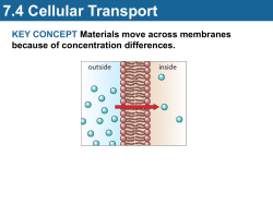 Cellular Transport
