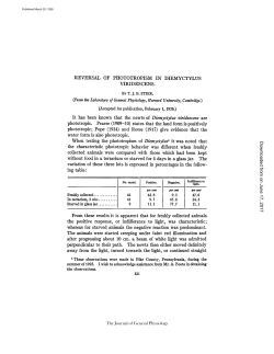 REVERSAL OF PHOTOTROPISM IN DIEMYCTYI,US VIRIDESCENS