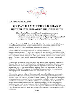 is pdf - Elasmobranch Research around Monterey Bay