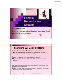 Female Reproductive System