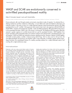 Fig. 1 - The Journal of Cell Biology