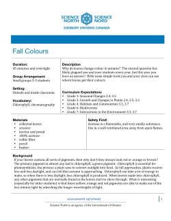 Fall Colours - Science North