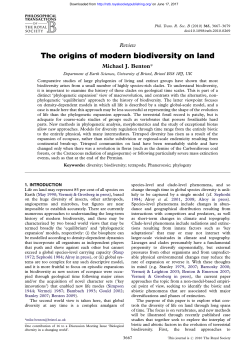 The origins of modern biodiversity on land