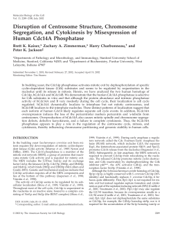 Spin Column use in finding Disruption of Centrosome Structure
