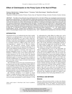 Effect of Clotrimazole on the Pump Cycle of the Na,K