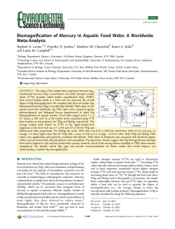 Biomagnification of Mercury in Aquatic Food