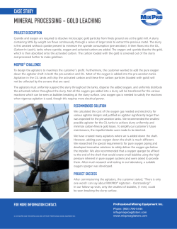 MINERAL PROCESSING