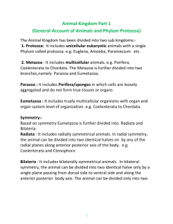 Animal Kingdom Part 1 (General Account of Animals and Phylum