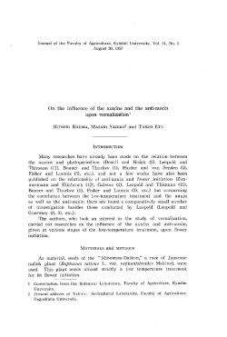 On the influence of the auxins and the anti