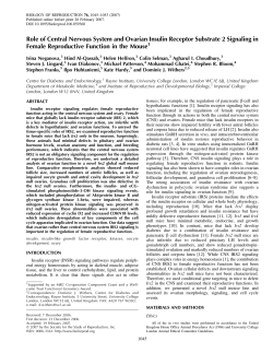 Role of Central Nervous System and Ovarian Insulin Receptor